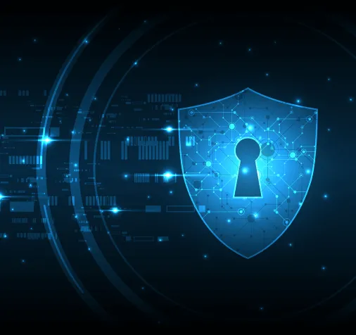 SSL VPN
