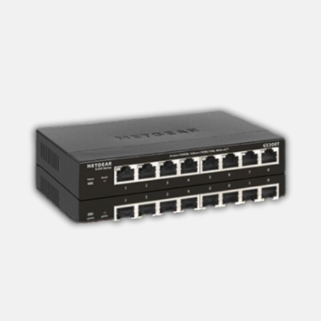 GS308T-100PES
