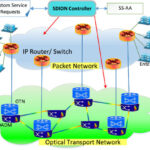 Packet Optical Transport Network