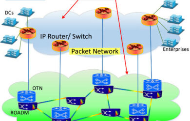 Packet Optical Transport Network