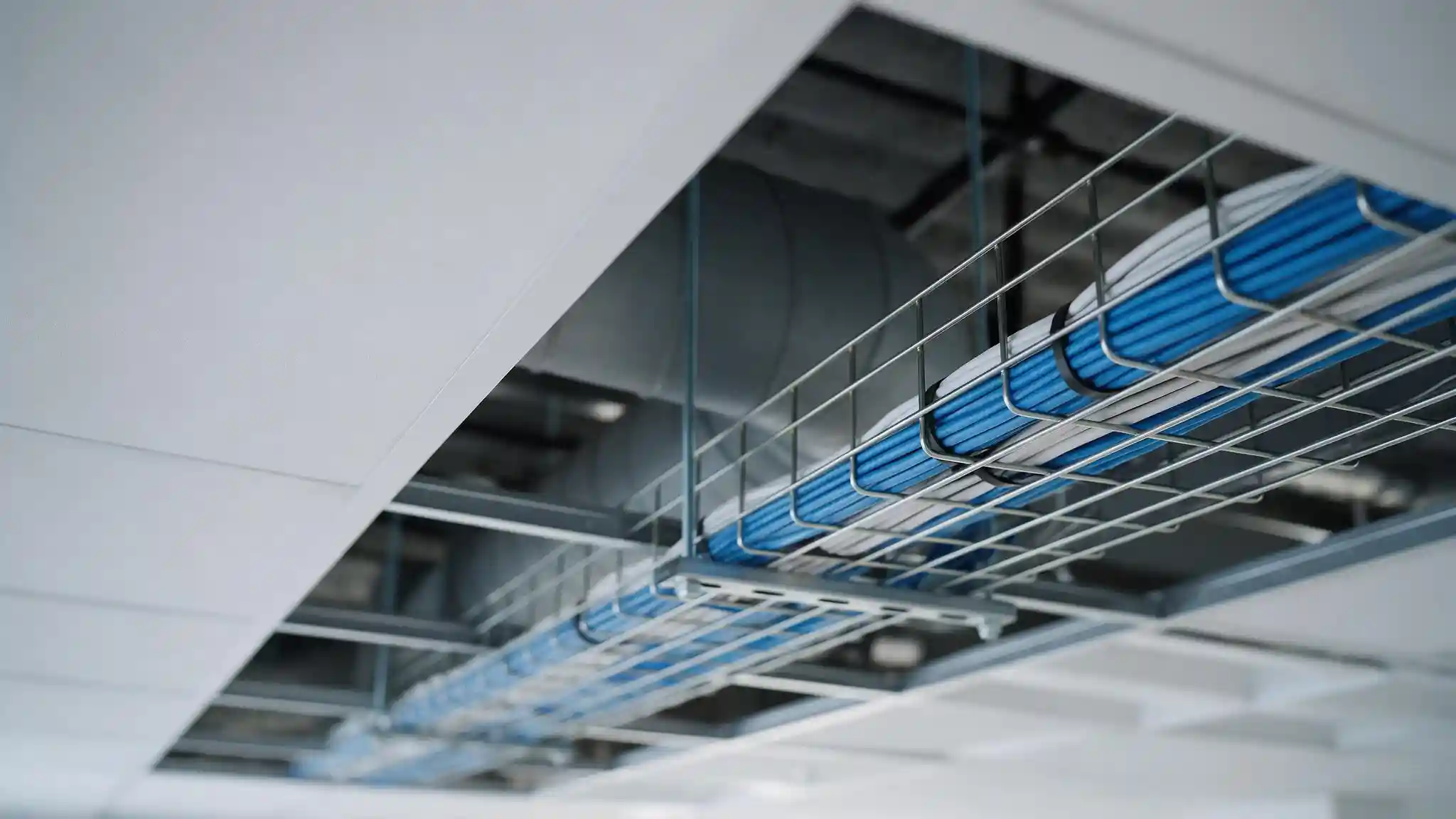 Cable fire ratings — network cables with different jacket types coiled in a commercial building ceiling void